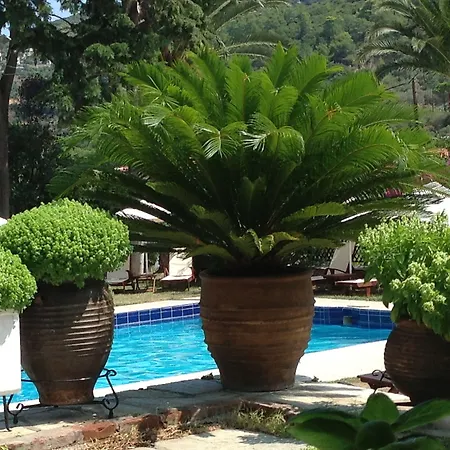 Stafilos Отель Скопелос