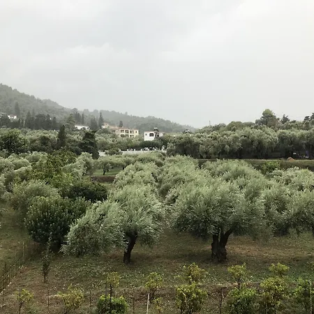 Отель Stafilos Скопелос