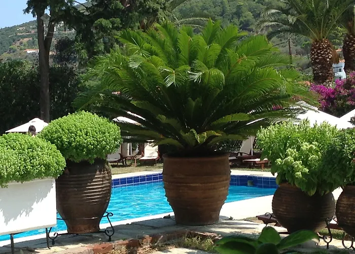 Stafilos Hotel Skopelos Town