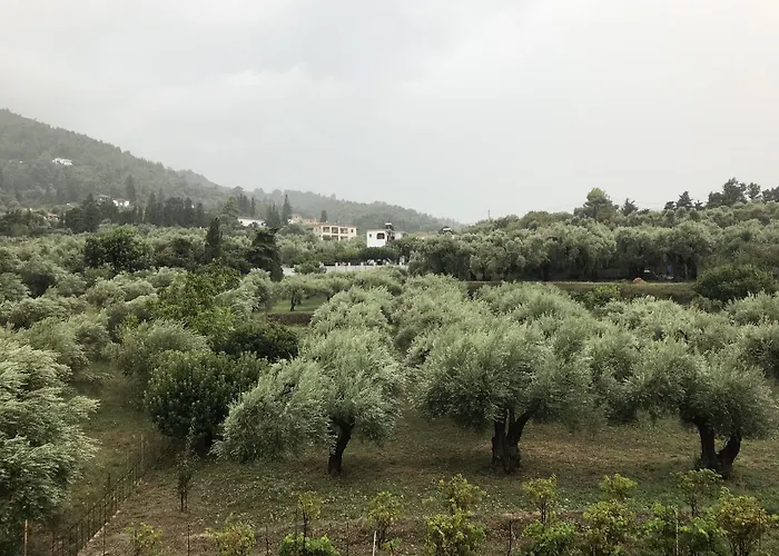 Hotel Stafilos Skopelos Town